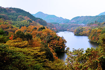 弥栄湖周辺の紅葉
