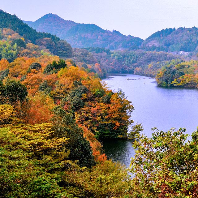 レイクプラザやさか 山口県岩国市 弥栄湖畔 公式ページ